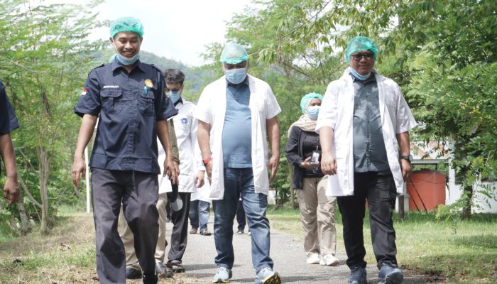 Pj Wali Kota Palopo Kunjungi Pembibitan Ternak Mancani, Ini Tujuannya