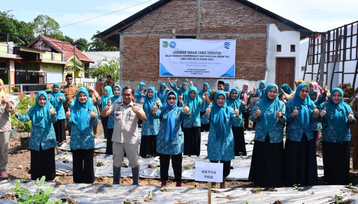 Peringati Hari Kesatuan Gerak PKK ke-52, TP -PKK Palopo Lakukan Gerakan Tanam Cabai