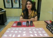 Edarkan Obat THD, Satresnarkoba Polres Luwu Amankan Seorang Wanita di Larompong Selatan