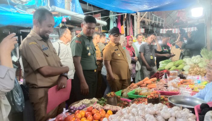 Jaga Stabilitas Harga, Pj Wali Kota Palopo Lakukan Pemantauan Harga Sejumlah Bahan Pokok Makanan
