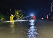 Air Sungai Rongkong Kembali Meluap, Puluhan Warga Desa Pengkendekan Luwu Utara Terperangkap Banjir