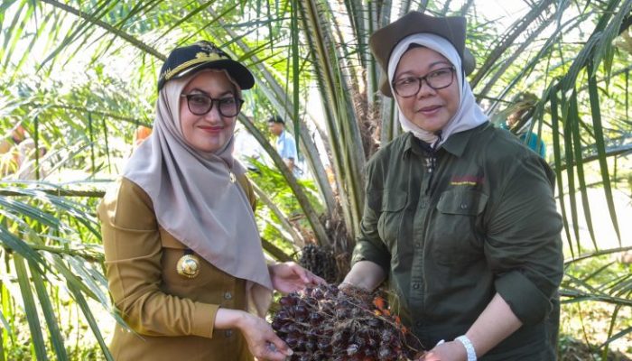 Tingkat Kesejahteraan Sosial Masyarakat Luwu Utara Makin Meningkat