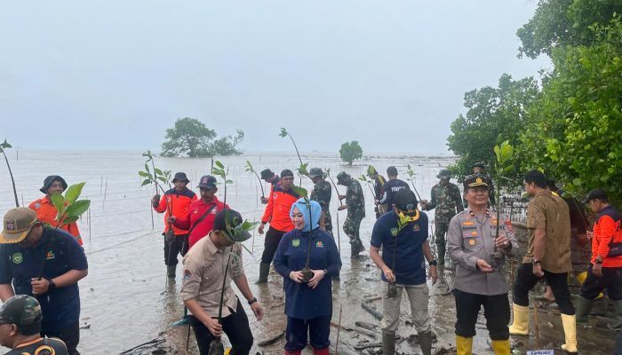 Peringati Hari Lingkungan Hidup Sedunia 2024, Wakapolres Palopo Tanam Pohon Mangrove