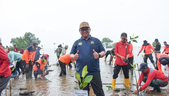 Peringati Hari Lingkungan Hidup Sedunia, Pj Wali Kota Palopo Lakukan Penanaman Mangrove di Pantai I Songka