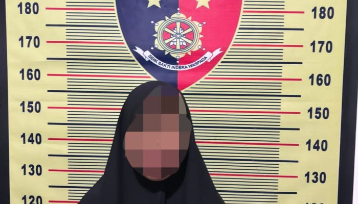 Kuasai HP Yang Ditemukan, Seorang IRT di Masamba Diamankan Polisi