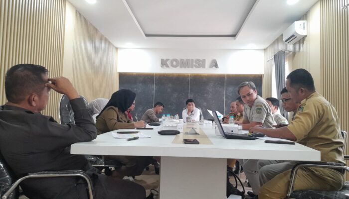 Bahas Rencana Usulan Penataan OPD di Pemkot Palopo, Komisi I DPRD Gelar Rapat Pansus