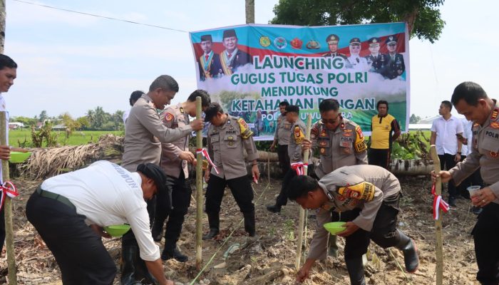 Manfaatkan Pekarangan Kosong, Kapolres Luwu Utara Tanam Bibit Jagung Dilahan Milik Polsek BoneBone