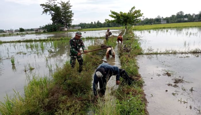 Babinsa Koramil 1403-02/Suli Bersama Personilnya dan warga Bersihkan Saluran Air Irigasi