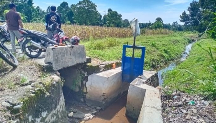 Heriansyah Efendi Anggota DPRD Luwu Utara Bersama Tim Dinas PUPR Tinjau Lokasi Saluran Irigasi Bungadidi