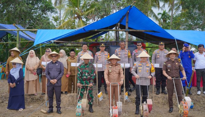 Dukung Swasembada Pangan, Pemkab Luwu Siapkan 108 Hektar Lahan Jagung