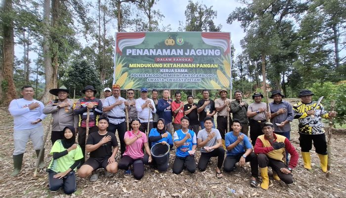 Dukung Ketahanan Pangan Nasional, Polres Palopo Gelar Penanaman Jagung di Kecamatan Sendana