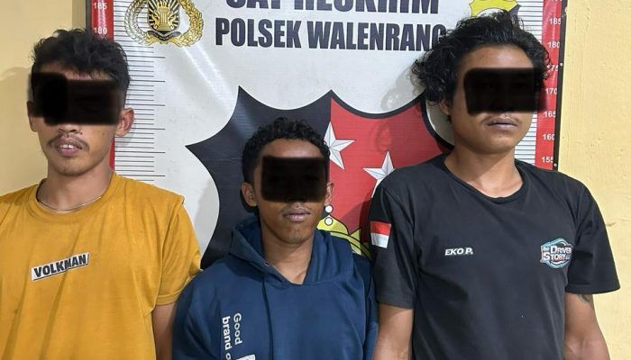 Reskrim Polsek Walenrang Tangkap 3 Orang Terduga Pelaku Pencuri Mesin Hand Traktor