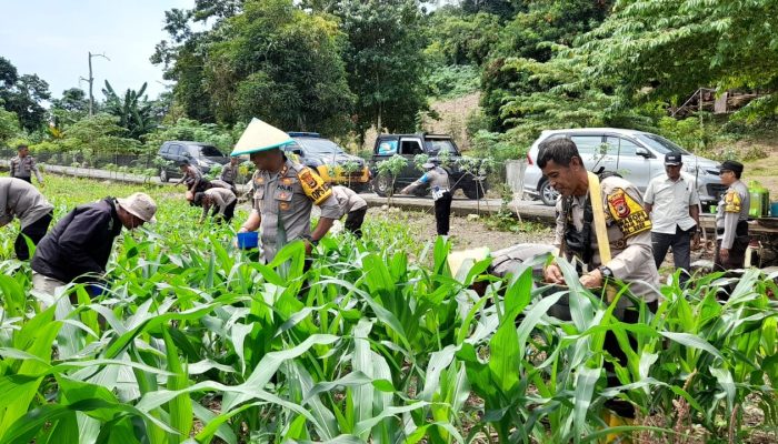 Kapolres Palopo : Program Ketahanan Pangan Langkah Strategis Tingkatkan Kesejahteraan Petani