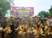 Kapolda Sulsel Hadiri Panen Jagung Program Ketahanan Pangan di Kabupaten Wajo