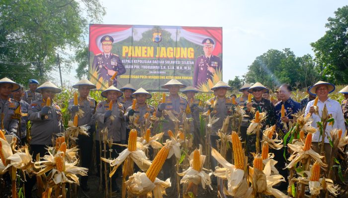 Kapolda Sulsel Hadiri Panen Jagung Program Ketahanan Pangan di Kabupaten Wajo