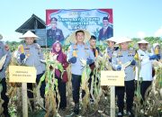 Kapolda Sulsel Panen Jagung di Bulukumba dalam Program Ketahanan Pangan