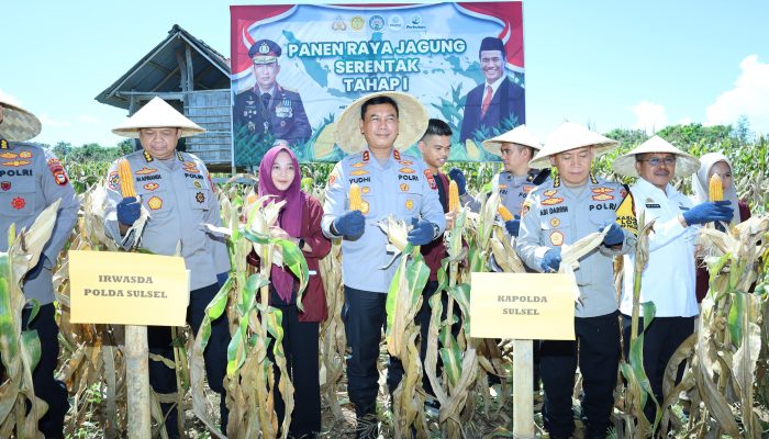 Kapolda Sulsel Panen Jagung di Bulukumba dalam Program Ketahanan Pangan