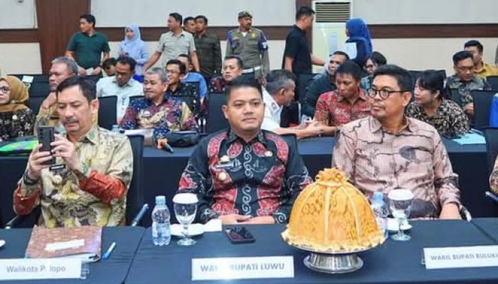 Wabup Luwu Hadiri High Level Meeting Dalam Format Dedicated Team Meeting Forum Pinisi Sultan 2025 di Makassar
