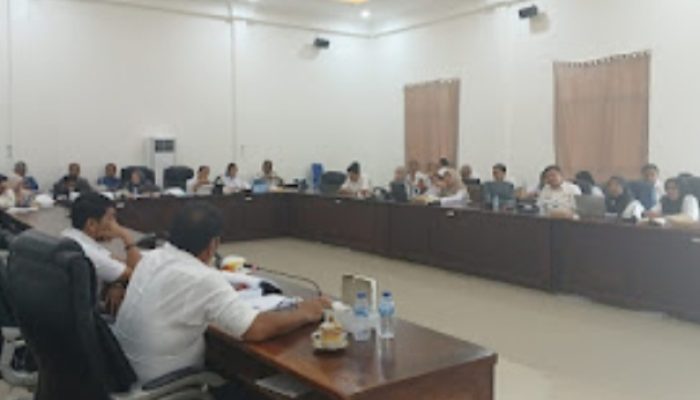 DPRD Palopo Lakukan Pembahasan Terkait Realisasi PAD RSUD dr Palemmai Tandi 2024