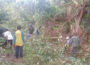Babinsa Koramil 1403-01 Larompong Kodim 1403/Palopo Bersama Warga Bersihkan Jalan Tani
