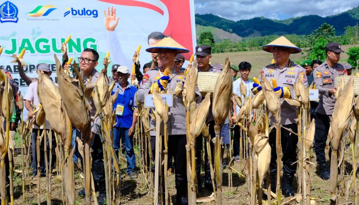Kapolda Sulsel Dampingi Kapolri dan Menteri Pertanian Lakukan Panen Raya Jagung di Bone