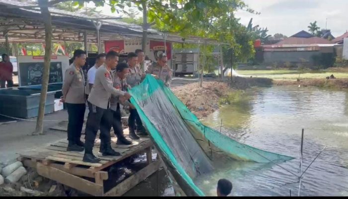 Dukung Ketahanan Pangan, Kapolda Sulsel Lepas 20 Ribu Ekor Bibit Ikan Nila
