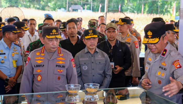 Jelang Panen Raya Jagung, Kapolri Turun Langsung Cek Lokasi ke Kalbar