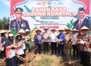 Dukung Program Ketahanan Pangan Nasional, Kapolres Kampar Panen Raya Jagung
