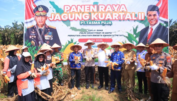 Dukung Program Ketahanan Pangan Nasional, Kapolres Kampar Panen Raya Jagung
