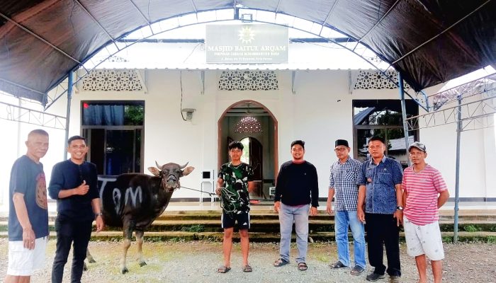 Idul Adha 1446 H, PT BMS Sumbang Satu Ekor Sapi Kurban di Masjid Baitul Arqam