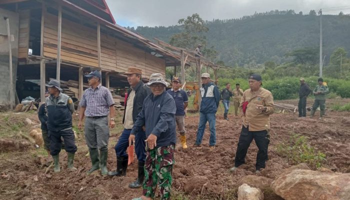 Babinsa Koramil 1403-08/Limbong Kodim 1403/Palopo Laksanakan Peninjauan Lokasi Pembibitan Tanaman Kentang