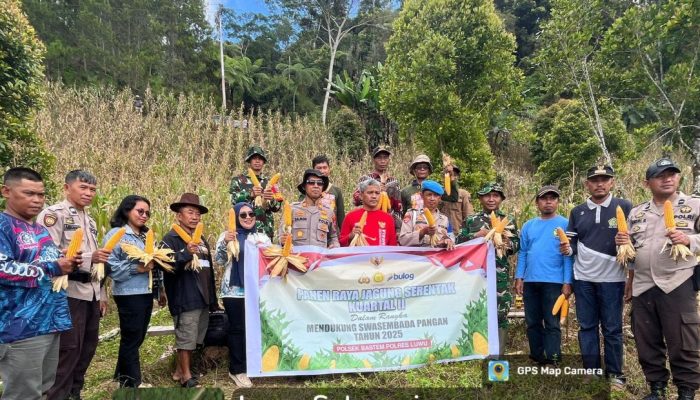 Wujudkan Ketahanan Pangan Nasional, Babinsa Koramil 05 Bastem Bantu Polsek Bastem Panen Raya Jagung