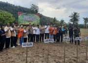 Danramil Malili Hadiri Penanaman Jagung Serentak di Desa Kalaena