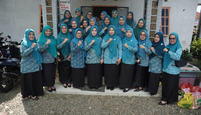 TP-PKK Kabupaten Luwu Gelar Pelatihan Kader Posyandu di Kecamatan Larompong Selatan