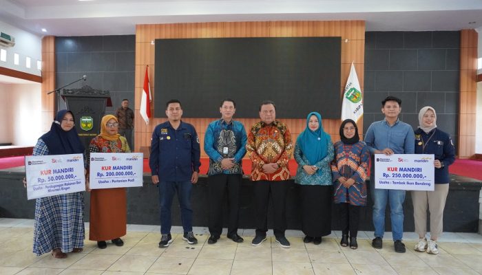 Kerjasama OJK, Pemkab Luwu Gelar Kegiatan edukasi Keuangan Bagi Kaum Perempuan
