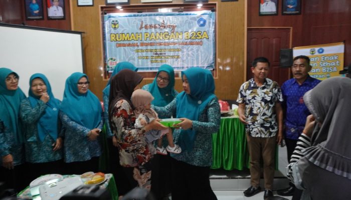 Ketua TP-PKK Luwu Launching Rumah Pangan B2SA di Desa Komba