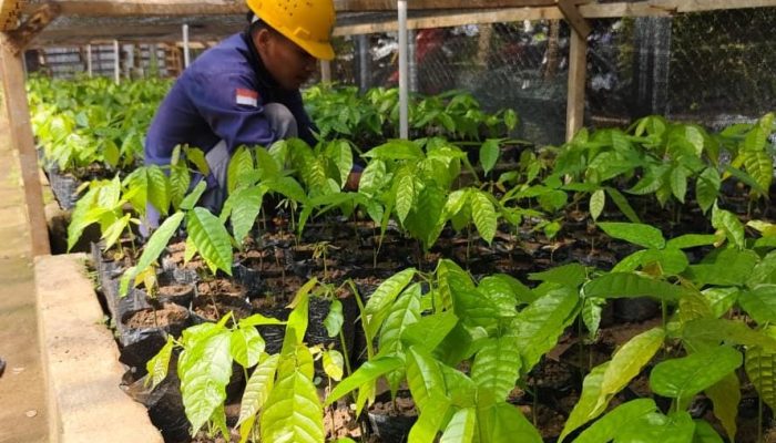 Jaga Kelestarian Lingkungan Area Pabrik, PT BMS Gencarkan Pembibitan dan Penghijauan