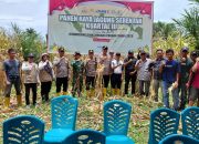 Babinsa Desa Lewonu Lakukan Panen Raya Jagung Serentak di Kecamatan Burau