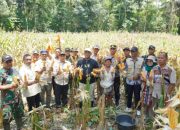 Bupati Luwu Dukung Pengembangan sektor Pertanian dan Perkebunan