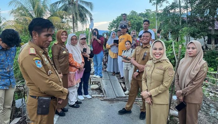 Wali Kota Palopo Tinjau Jembatan Penghubung Kelurahan batu walenrang dan Kelurahan Mancani