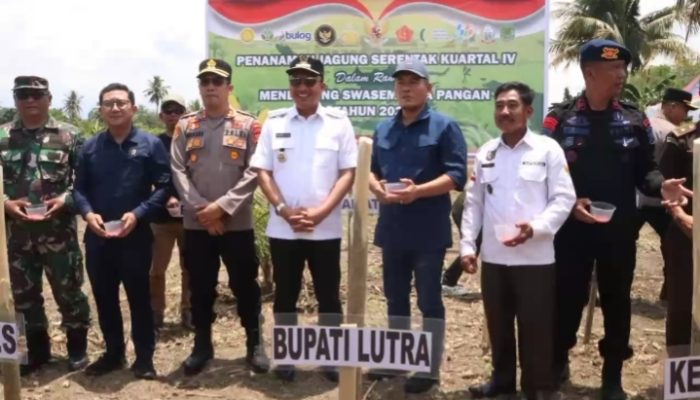 Wakil Ketua DPRD Luwu Utara Hadiri Penanaman Jagung Serentak di Desa Tarak Tallu