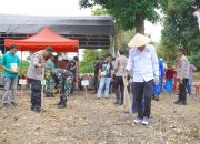 Pemkab Luwu Dukung Penanaman Jagung Serentak untuk Swasembada Pangan Nasional