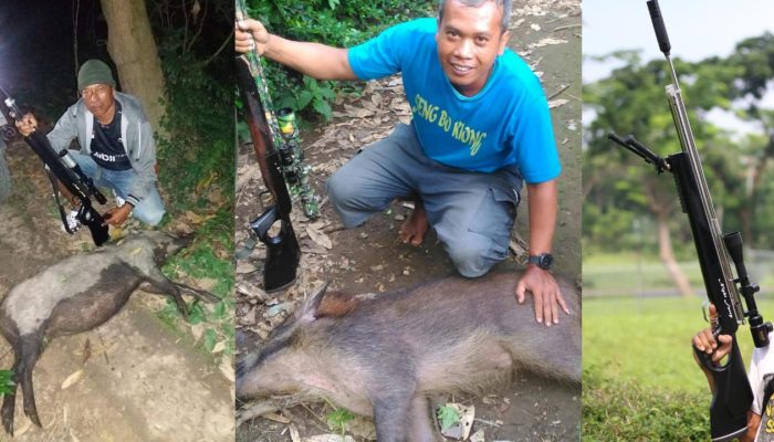 Rekomendasi Senapan Angin 2026: Night Furry Wajib Cek