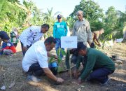 Bupati Luwu Dorong Penguatan ILM dan Hilirisasi Kakao–Padi Berkelanjutan