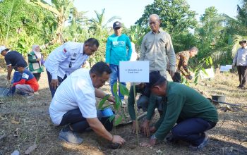 Bupati Luwu Dorong Penguatan ILM dan Hilirisasi Kakao–Padi Berkelanjutan