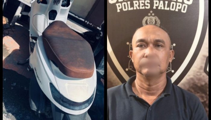 Modus Ngaku Polisi, Pelaku Penipuan Motor di Palopo Dibekuk di Kolaka